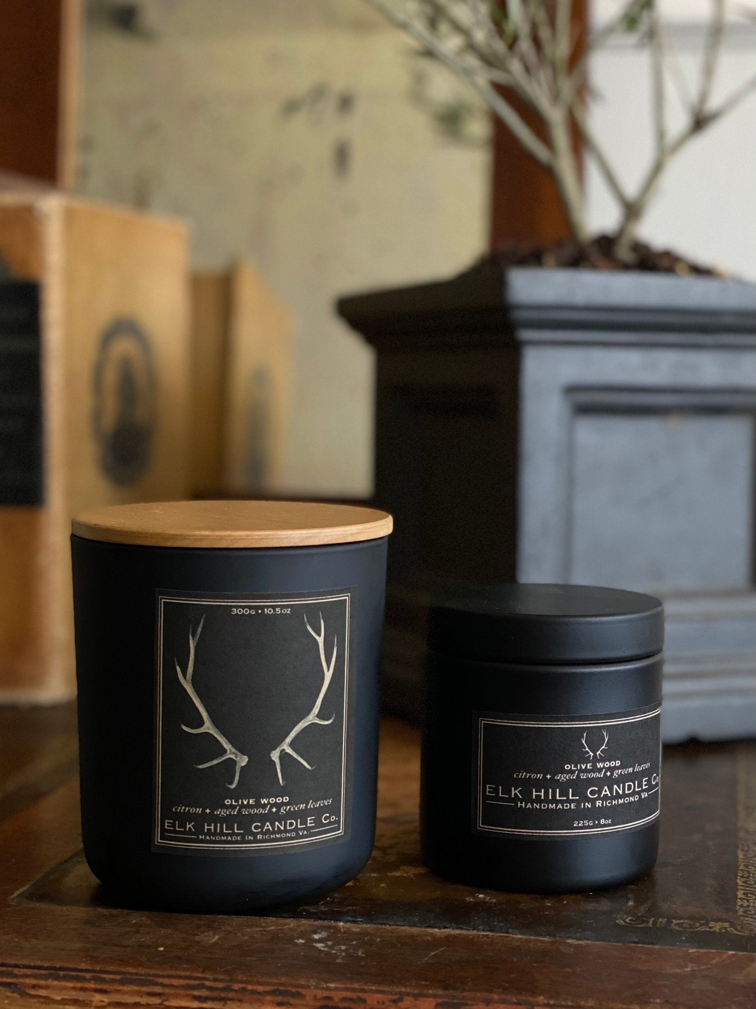 OLIVE WOOD CANDLE - Notes: Bergamot, Citron, Olive, Green Leaves, Wood